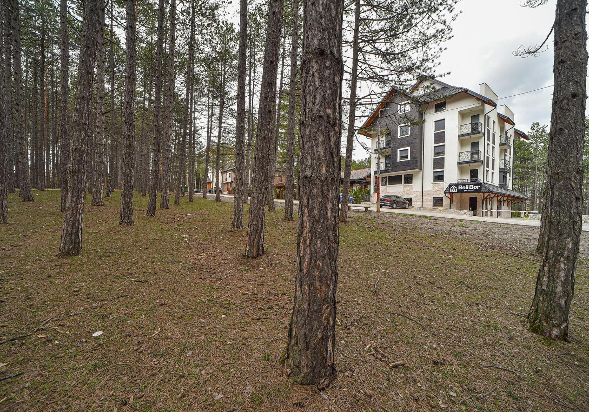 Beli Bor Zlatibor Aparthotel Kültér fotó